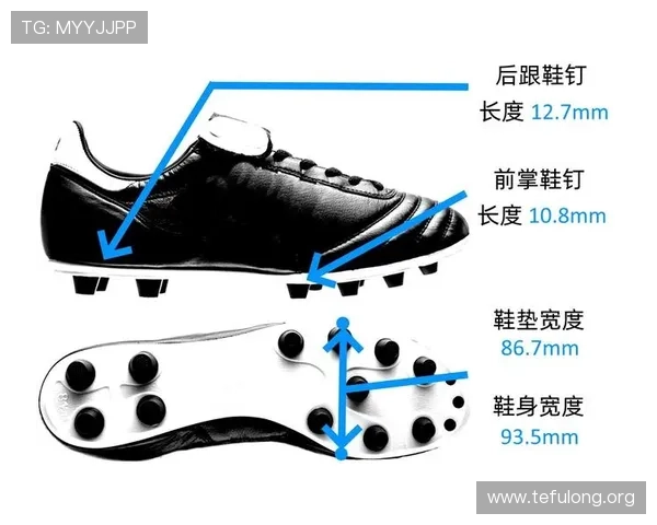 足球ag官网历史发展沿革与未来发展规划，了解平台成长轨迹