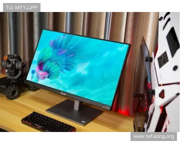 选择完美的PA平台下载选项，提升工作与娱乐效率