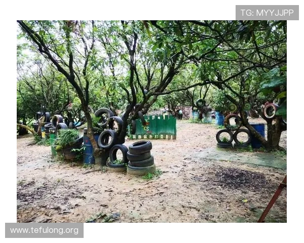 如何利用GS真人游戏的特色功能提升游戏乐趣与获胜几率，实用攻略全解析